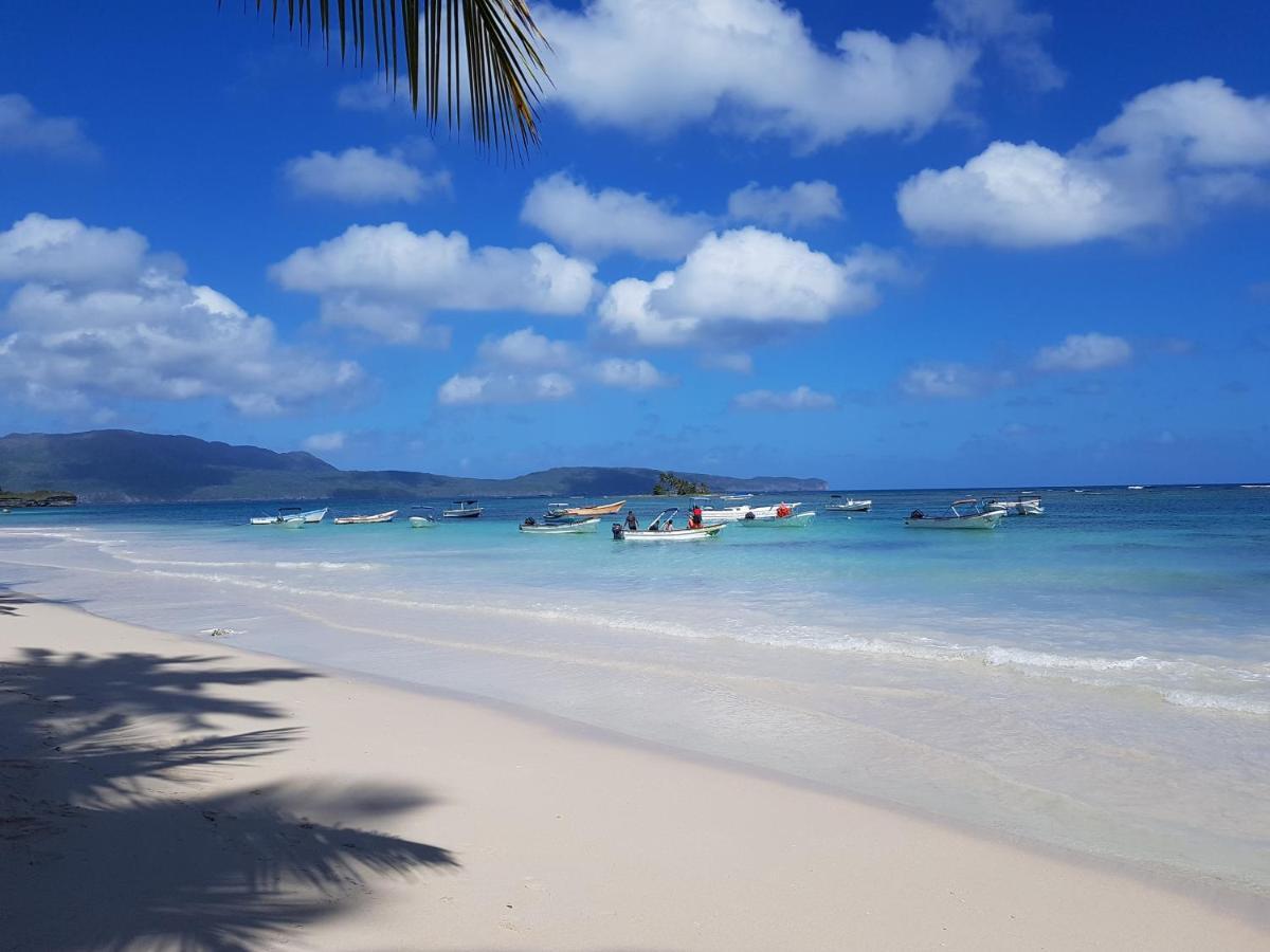 Gecko Azul Las Galeras Exterior photo