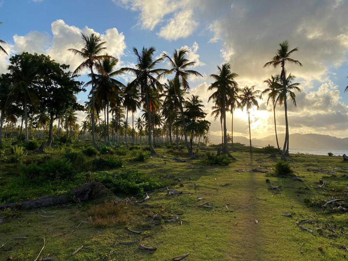 Gecko Azul Las Galeras Exterior photo