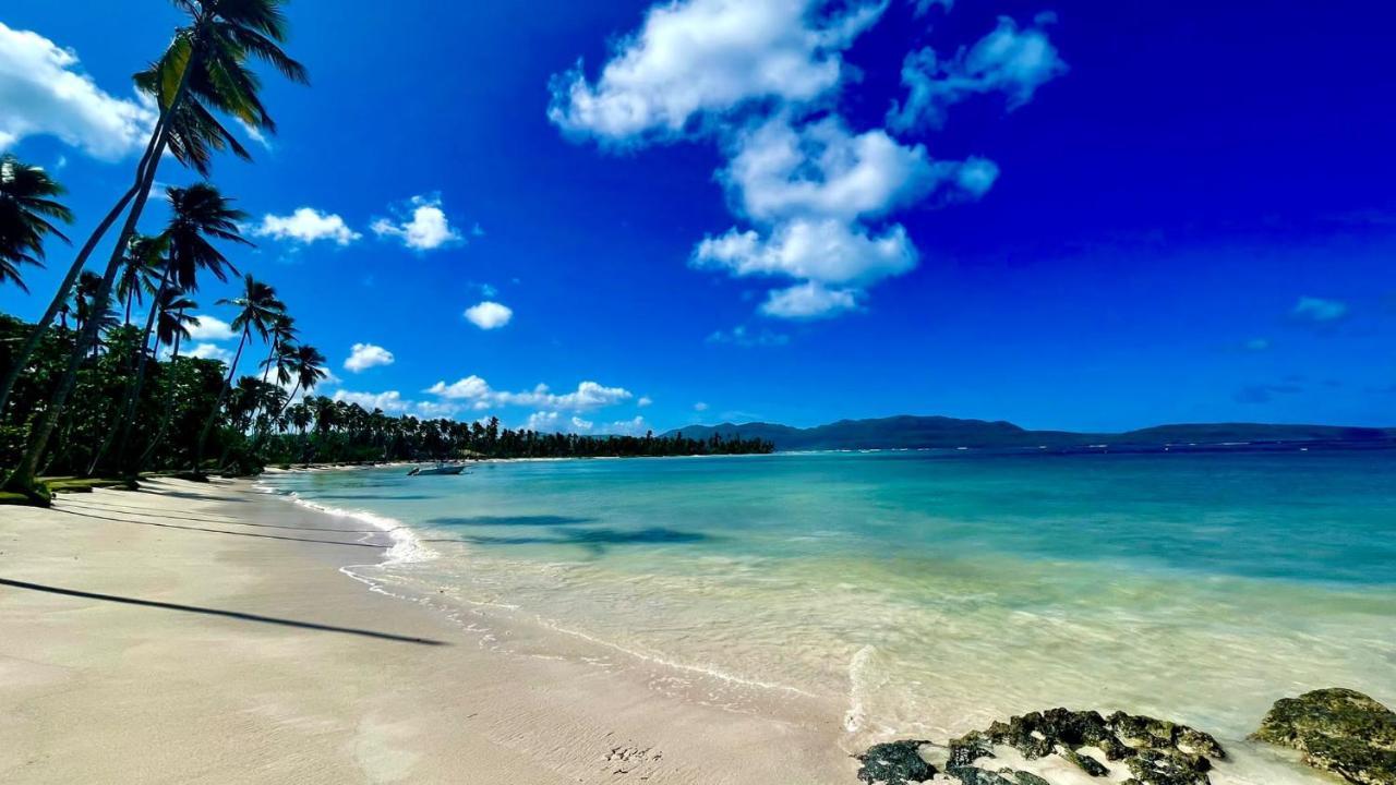 Gecko Azul Las Galeras Exterior photo