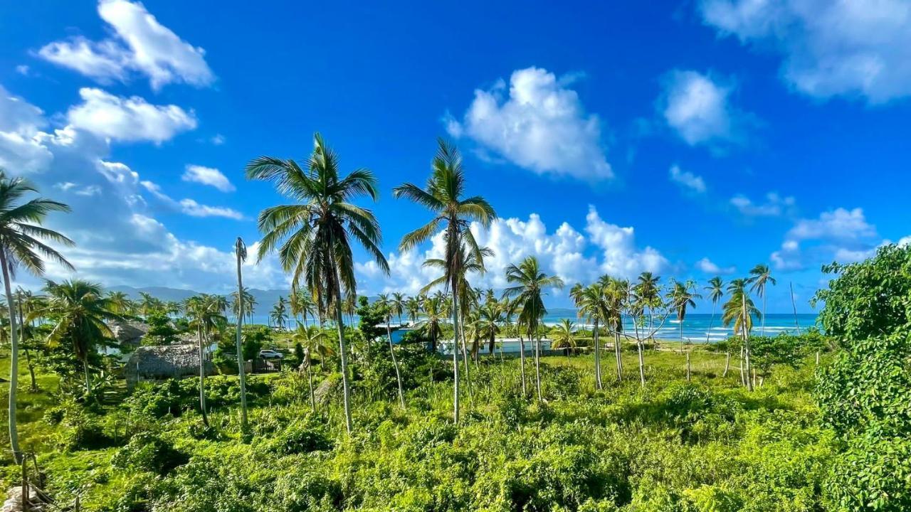 Gecko Azul Las Galeras Exterior photo